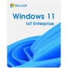 Windows 11 FR IoT 